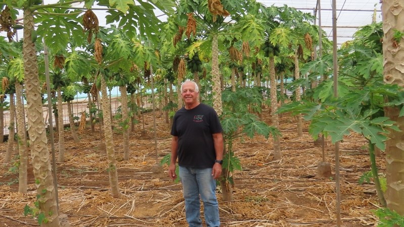 Franciscos finca � det �kta och genuina Tenerife (inkl lunch)